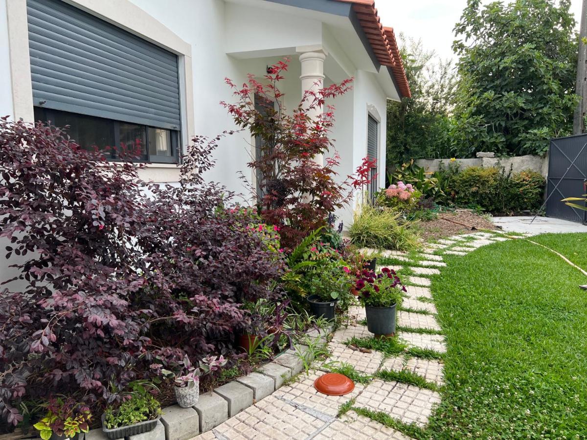 Beautiful Little Country House Villa Carvide Exteriör bild